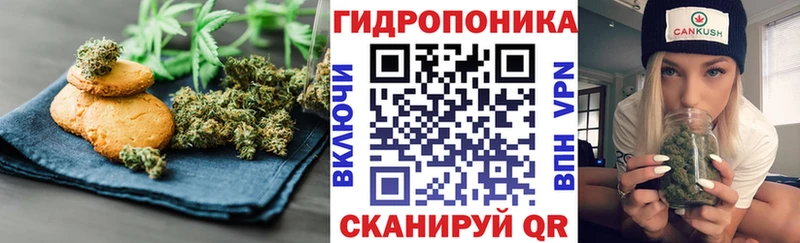 Cannafood марихуана  Купить закладки  Бородино 