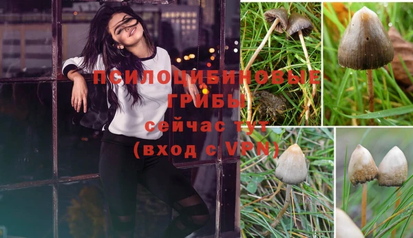 скорость Горно-Алтайск