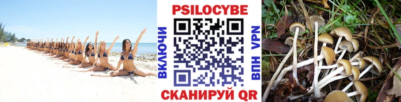 Псилоцибиновые грибы мицелий  Купить где  Бородино 