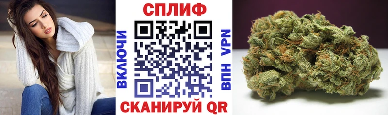 Конопля MAZAR  Купить  Бородино 